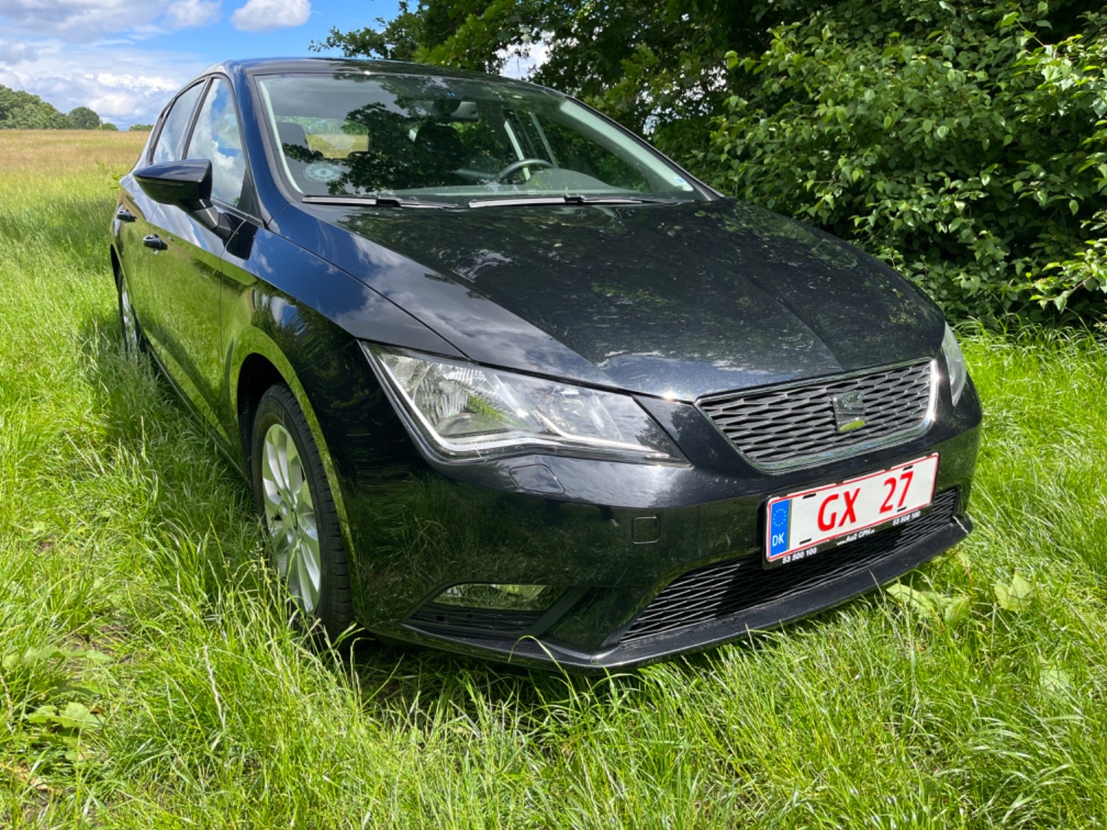 Seat Leon 2013