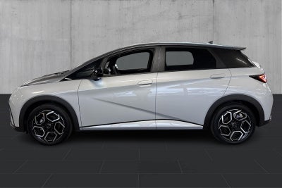 BYD Dolphin Design - 1