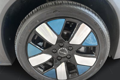 BYD Dolphin Design