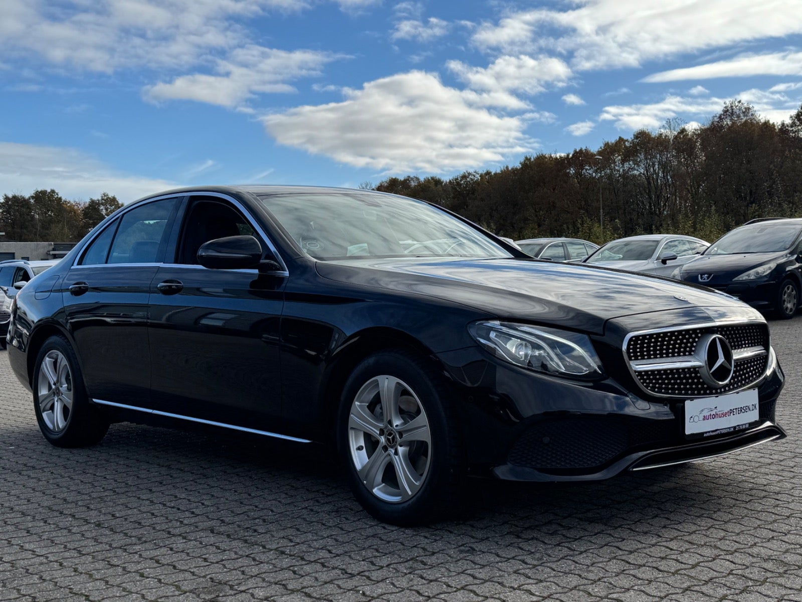 Mercedes E220 d Avantgarde aut.