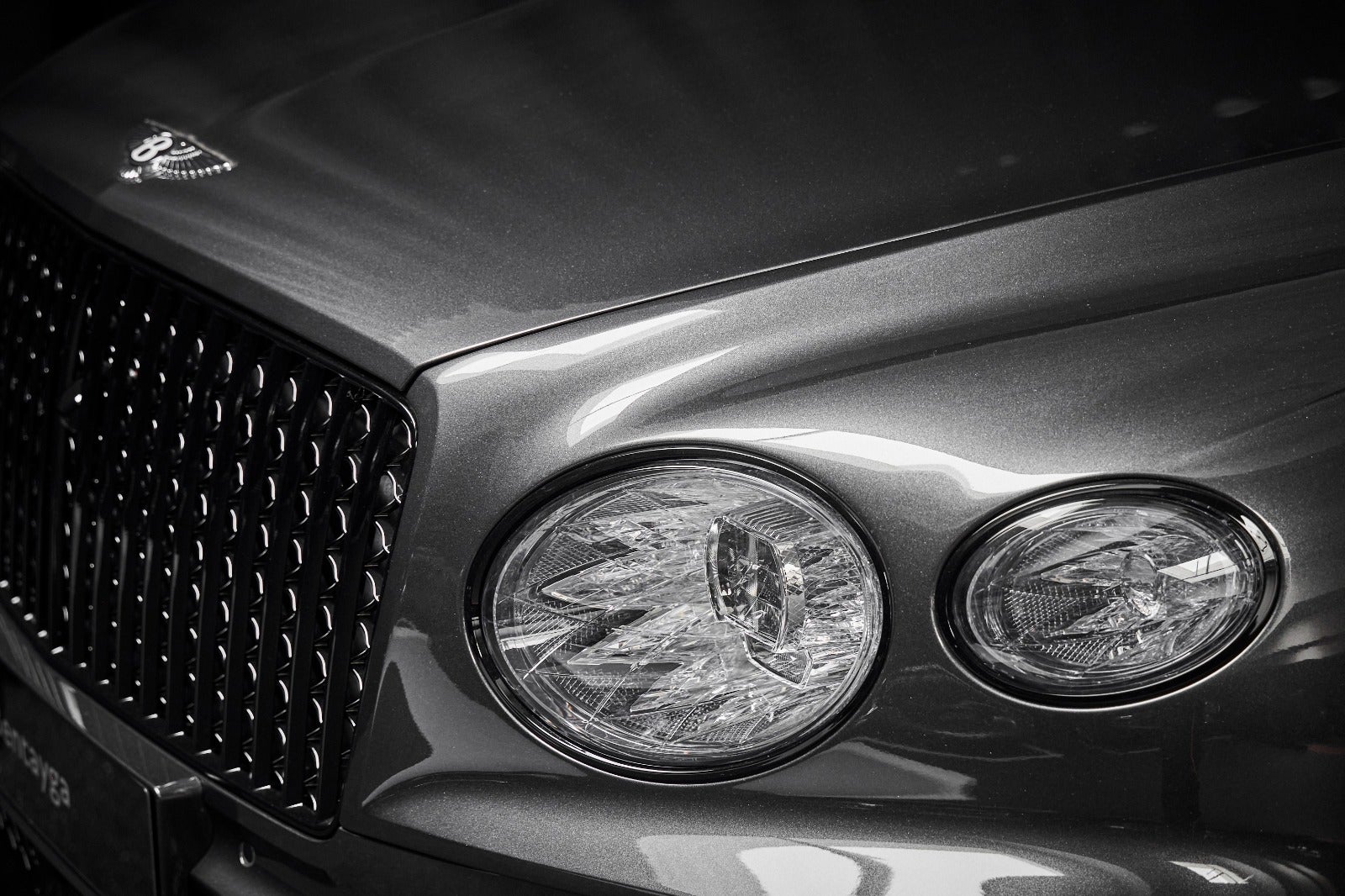 Gallery image 7 of 14