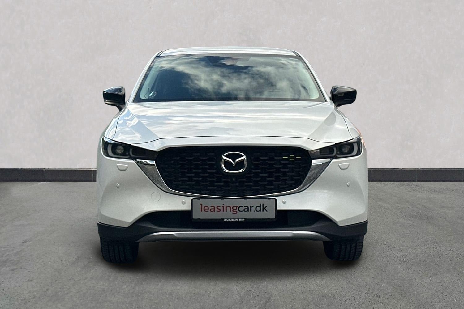 Billede af Mazda CX-5 2,0 SkyActiv-G 165 Newground aut.