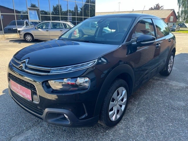 Citroën C4 Cactus BlueHDi 100 Iconic Van