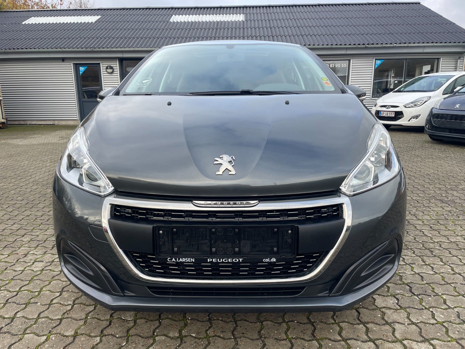 Peugeot 208 BlueHDi 100 Sky Winter Edition