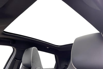 BYD Dolphin Design