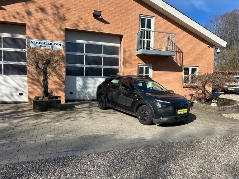 Citroën C4 Cactus BlueHDi 100 Feel Van