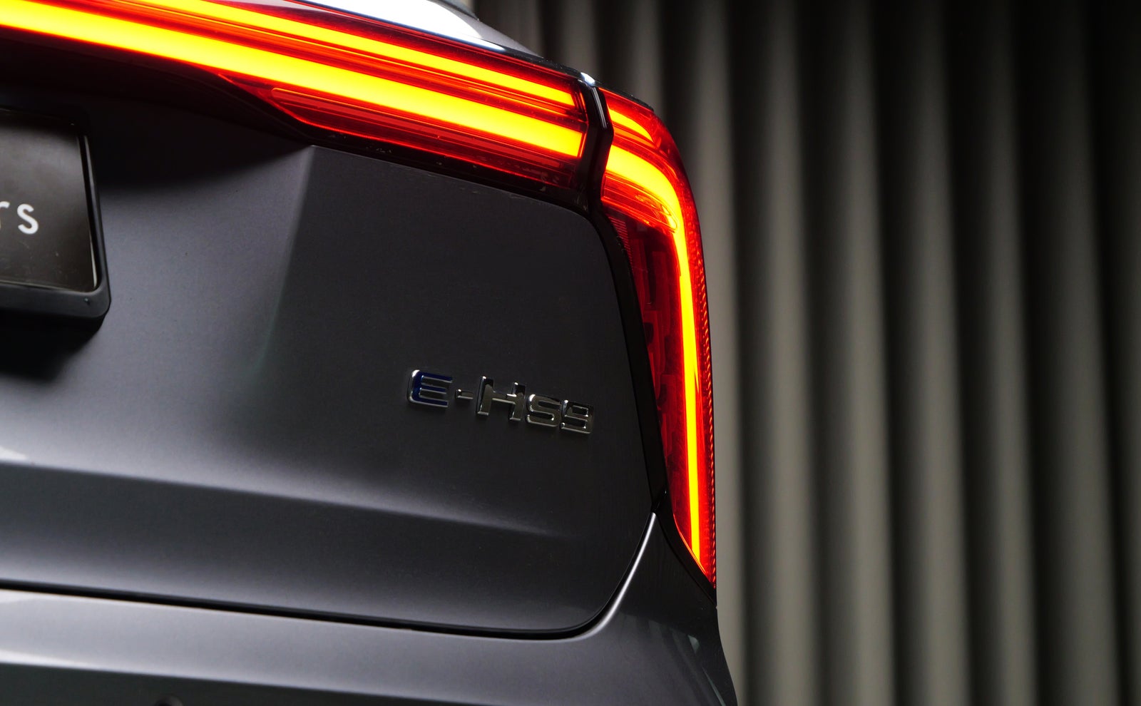Hongqi E-HS9 Exclusive
