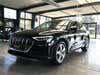Audi e-tron Advanced quattro