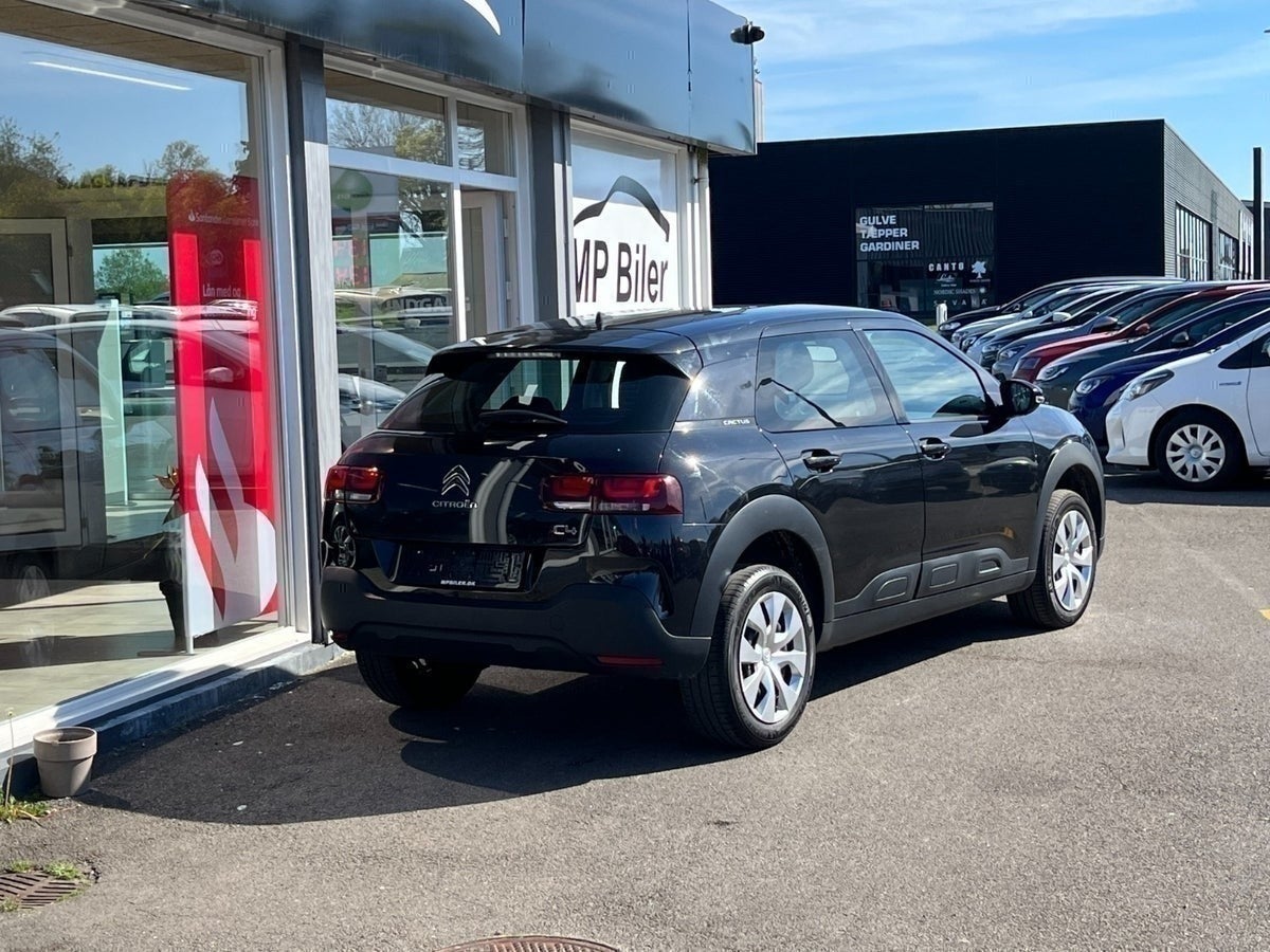 Billede af Citroën C4 Cactus 1,6 BlueHDi 100 SkyLine