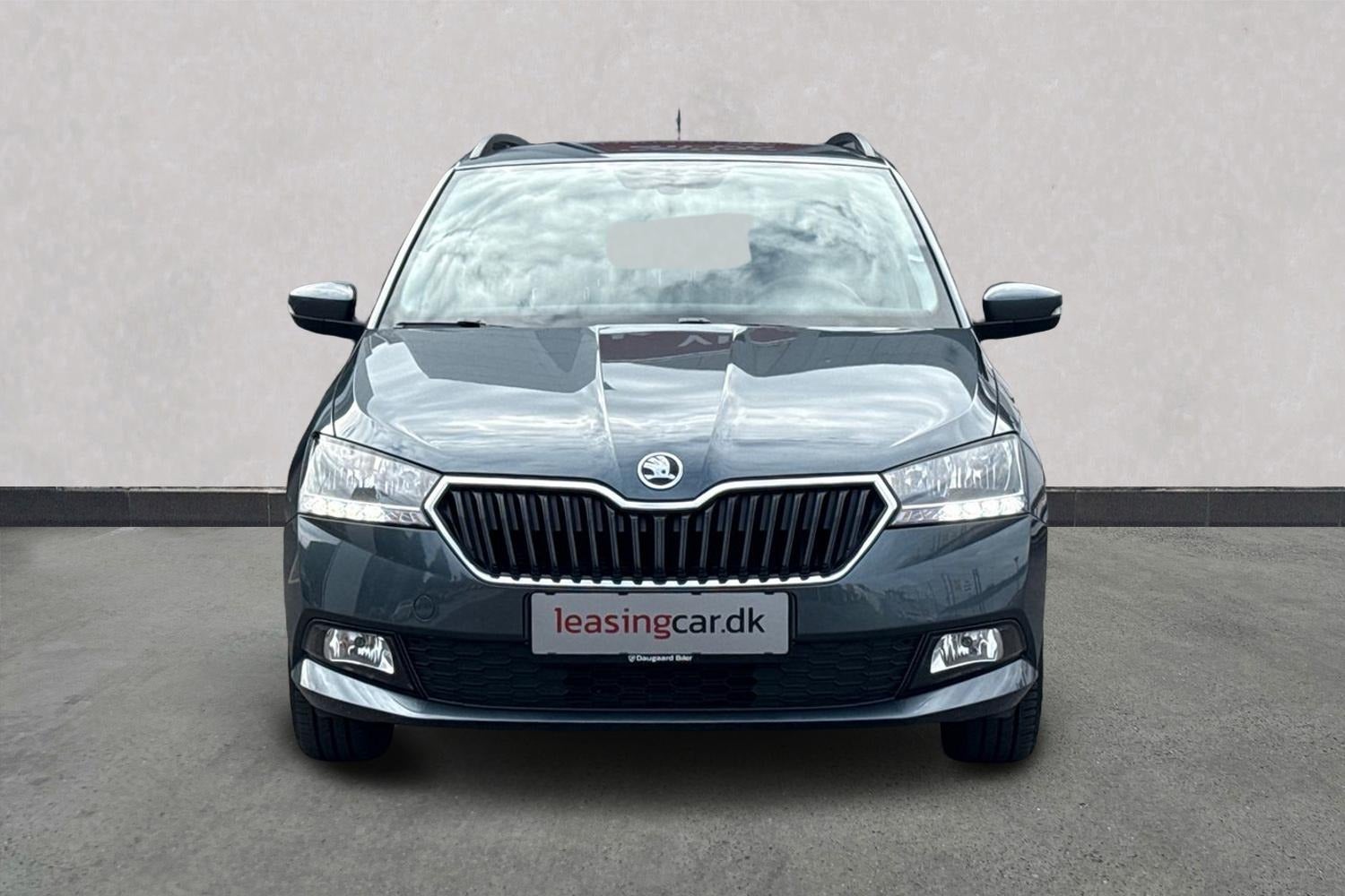 Billede af Skoda Fabia 1,0 TSi 95 Life Combi DSG