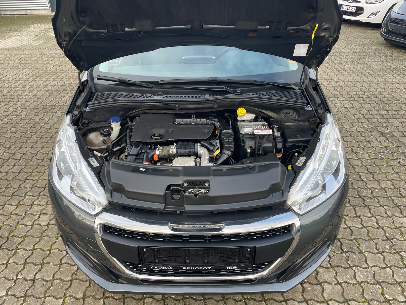 Peugeot 208 BlueHDi 100 Sky Winter Edition