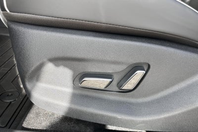BYD Dolphin Design