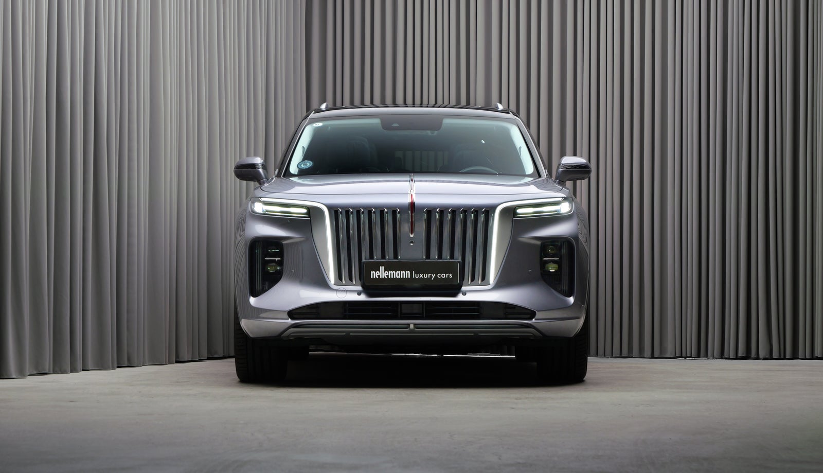 Hongqi E-HS9 Exclusive