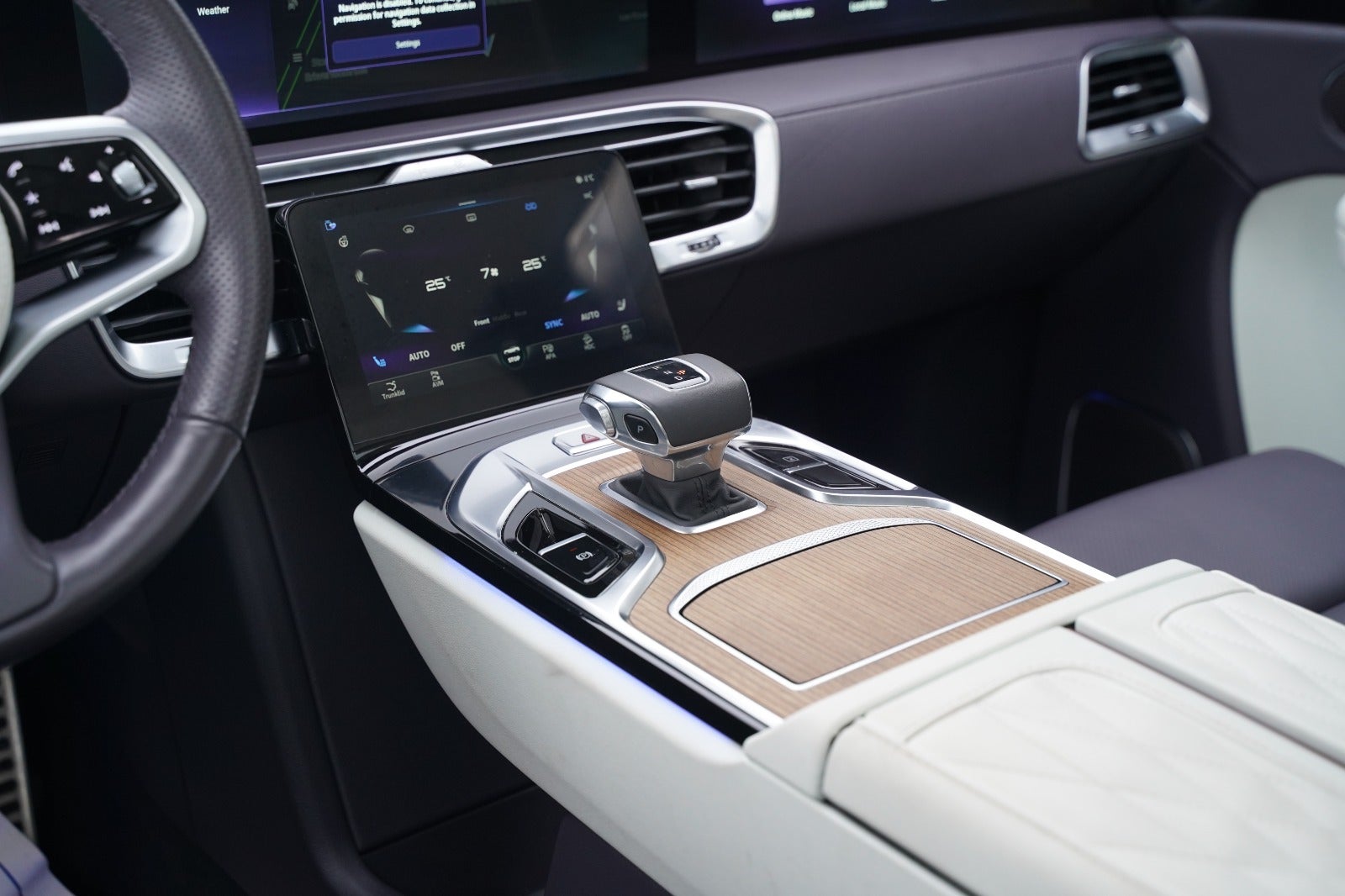 Billede af Hongqi E-HS9 99 Exclusive