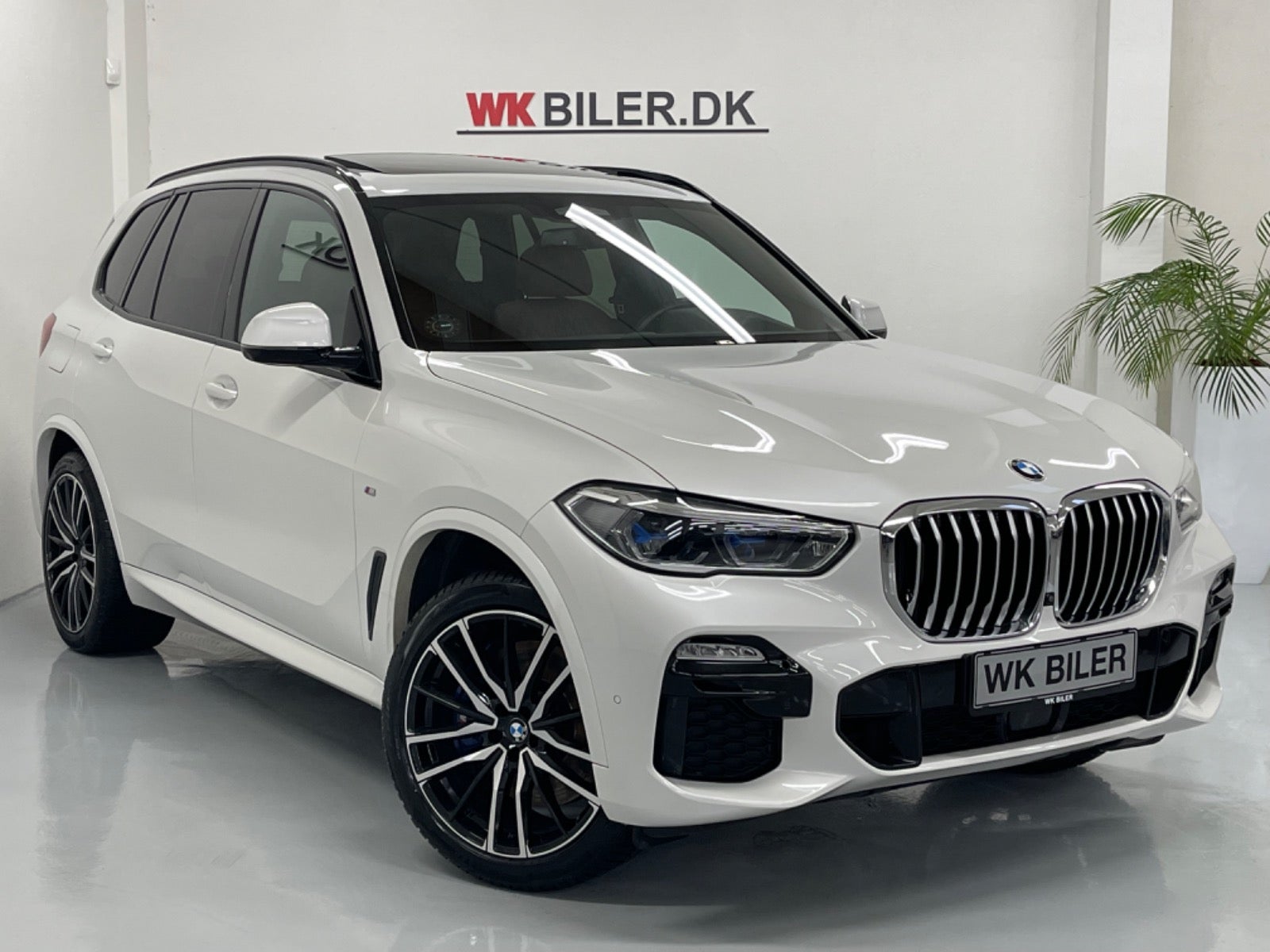 BMW X5 2019