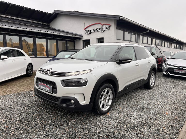 Citroën C4 Cactus BlueHDi 100 SkyLine Van