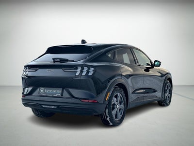 Ford Mustang Mach-E Standard Range billede 3