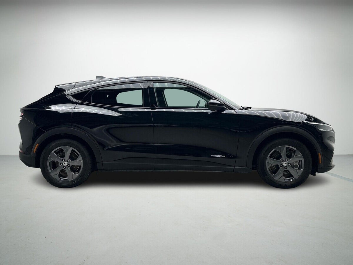 Ford Mustang Mach-E Standard Range billede 5