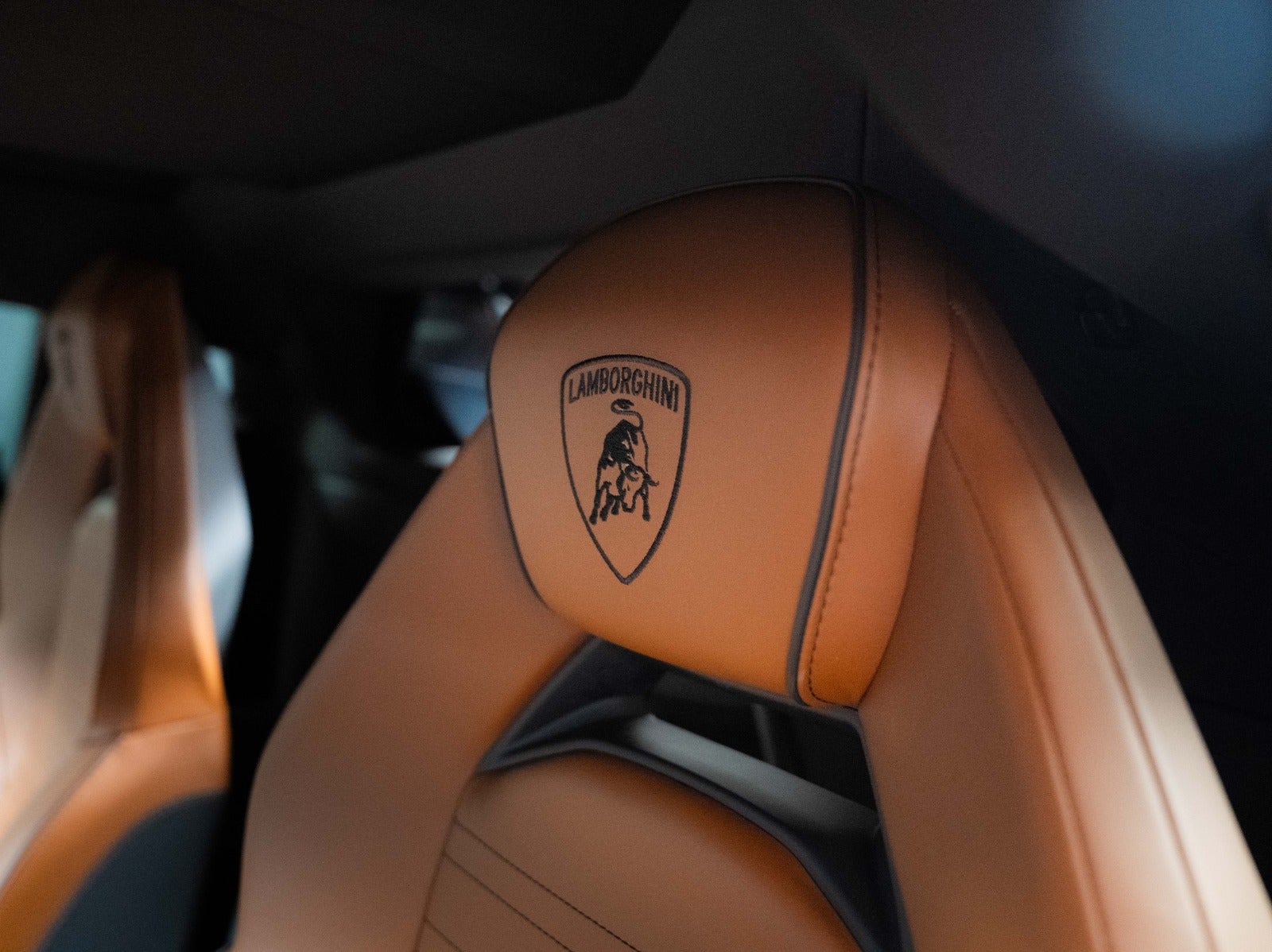 Gallery image 14 of 14