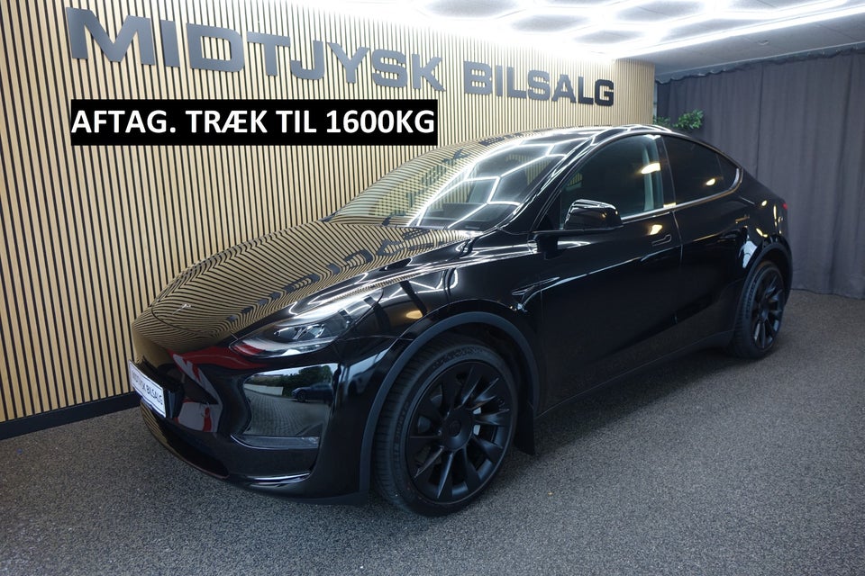 Tesla Model Y, Billede 1