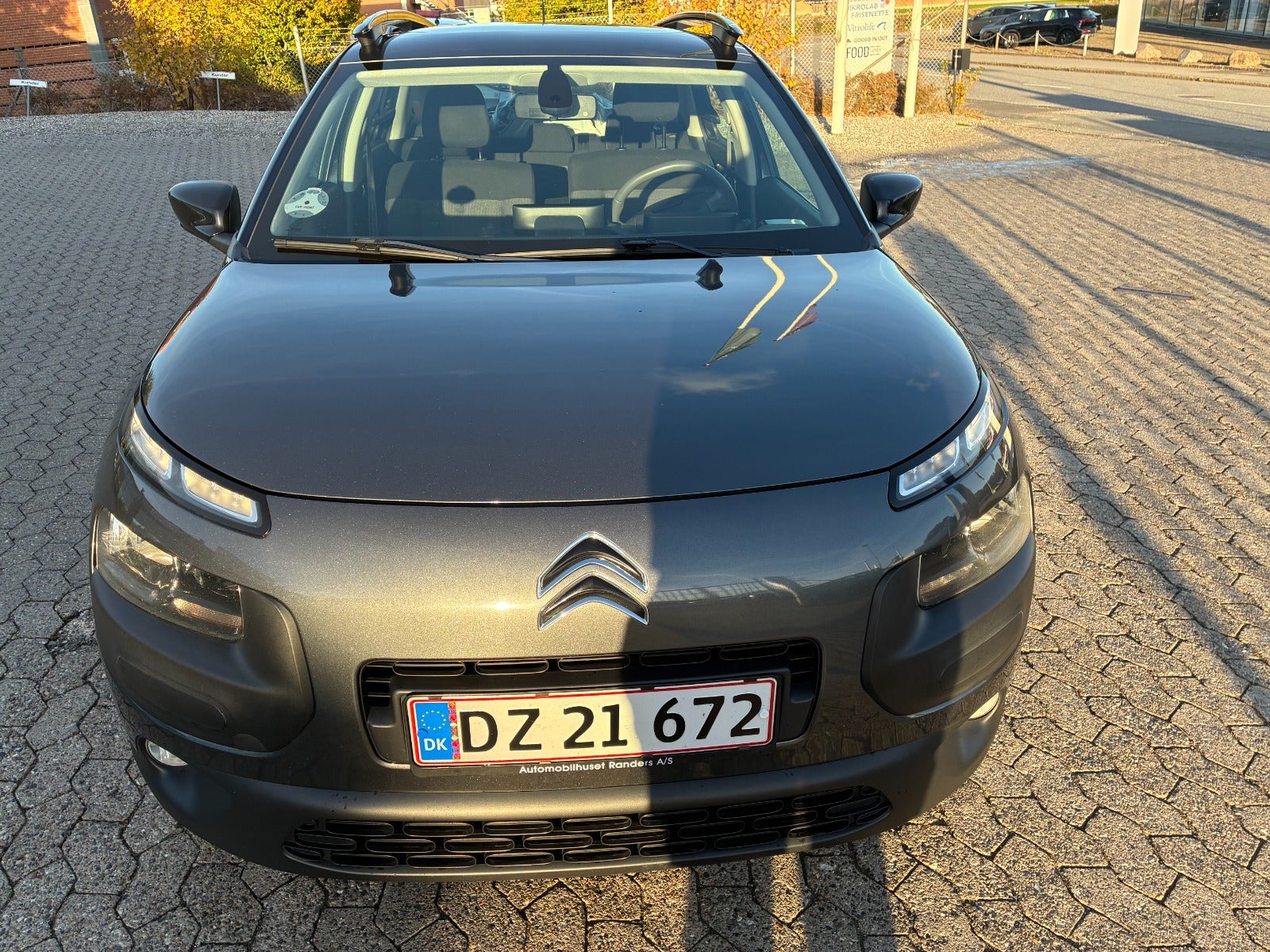 Billede af Citroën C4 Cactus 1,6 BlueHDi 100 SkyLine