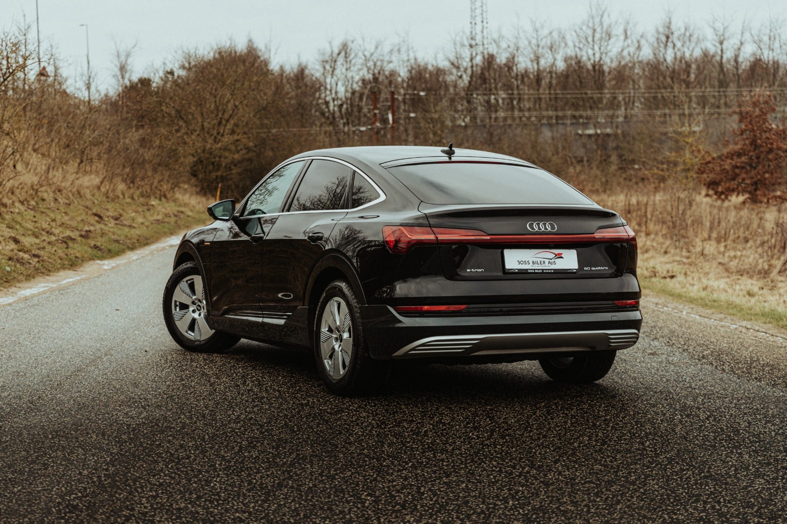 Billede af Audi e-tron 50 Advanced Prestige Sportback quattro