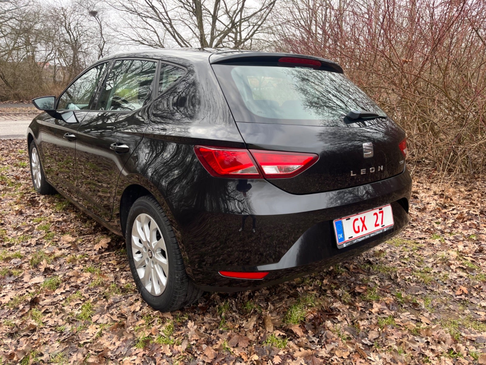 Seat Leon 2013