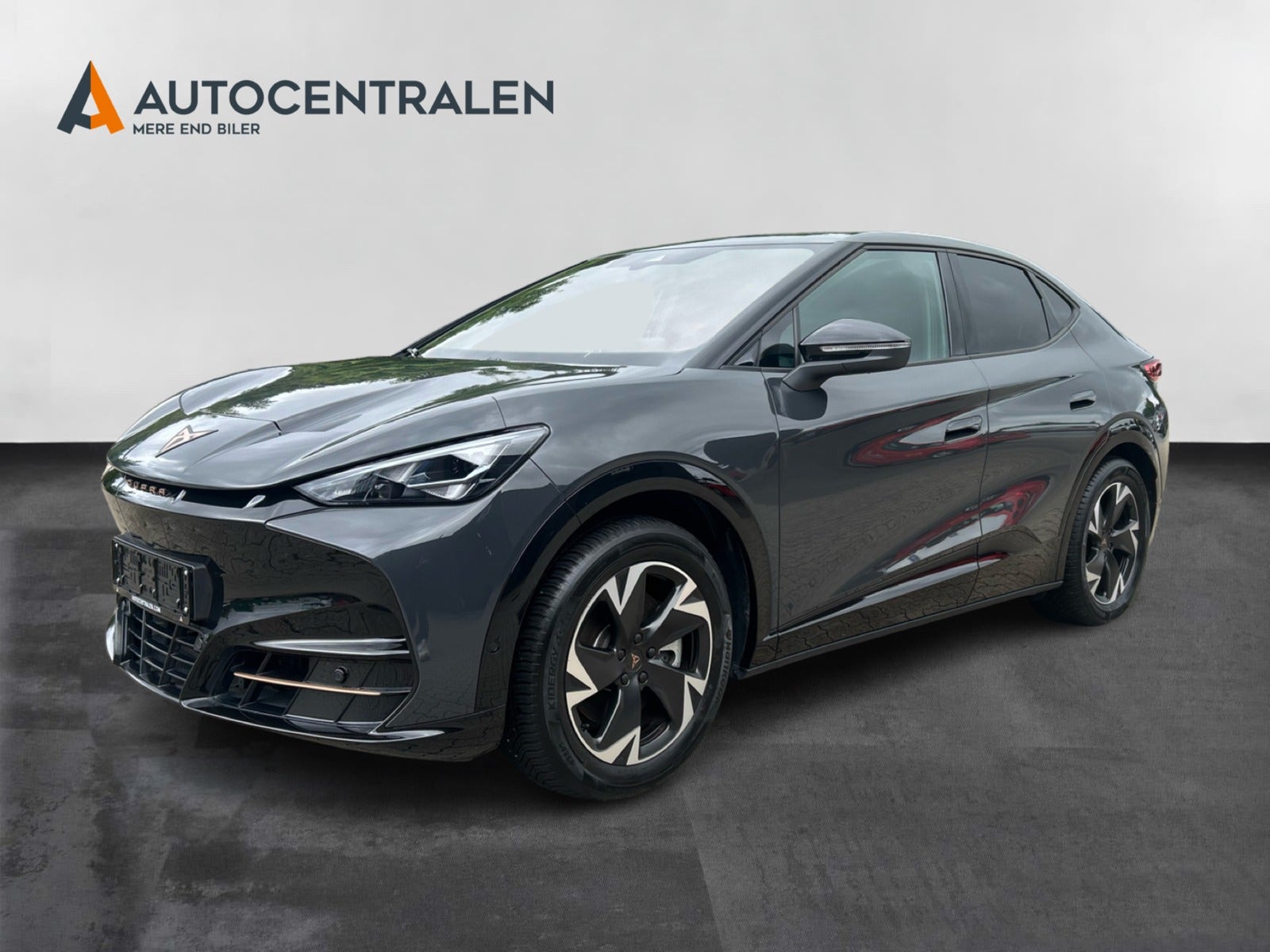 Cupra Tavascan Endurance