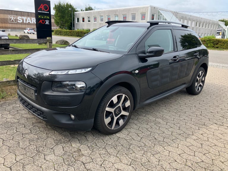 Citroën C4 Cactus BlueHDi 100 Feel Van