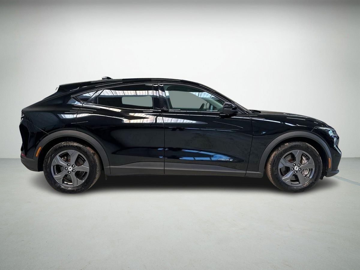 Ford Mustang Mach-E Standard Range billede 5