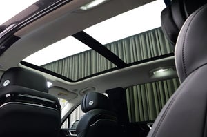Hongqi E-HS9 Exclusive