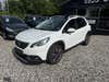 Peugeot 2008 BlueHDi 100 Allure Sky Van