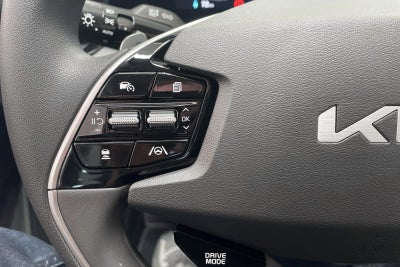 Kia Niro EV Access