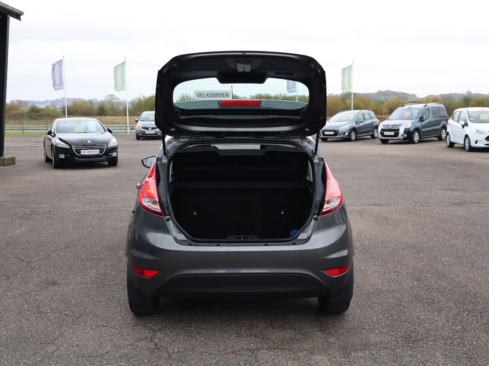 Billede af Ford Fiesta 1,0 80 Titanium