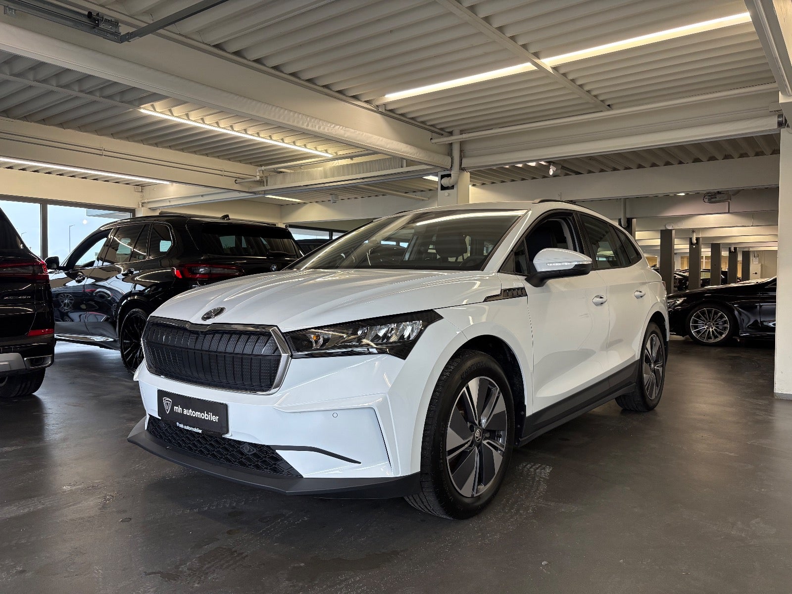 Billede af Skoda Enyaq 60 iV Loft