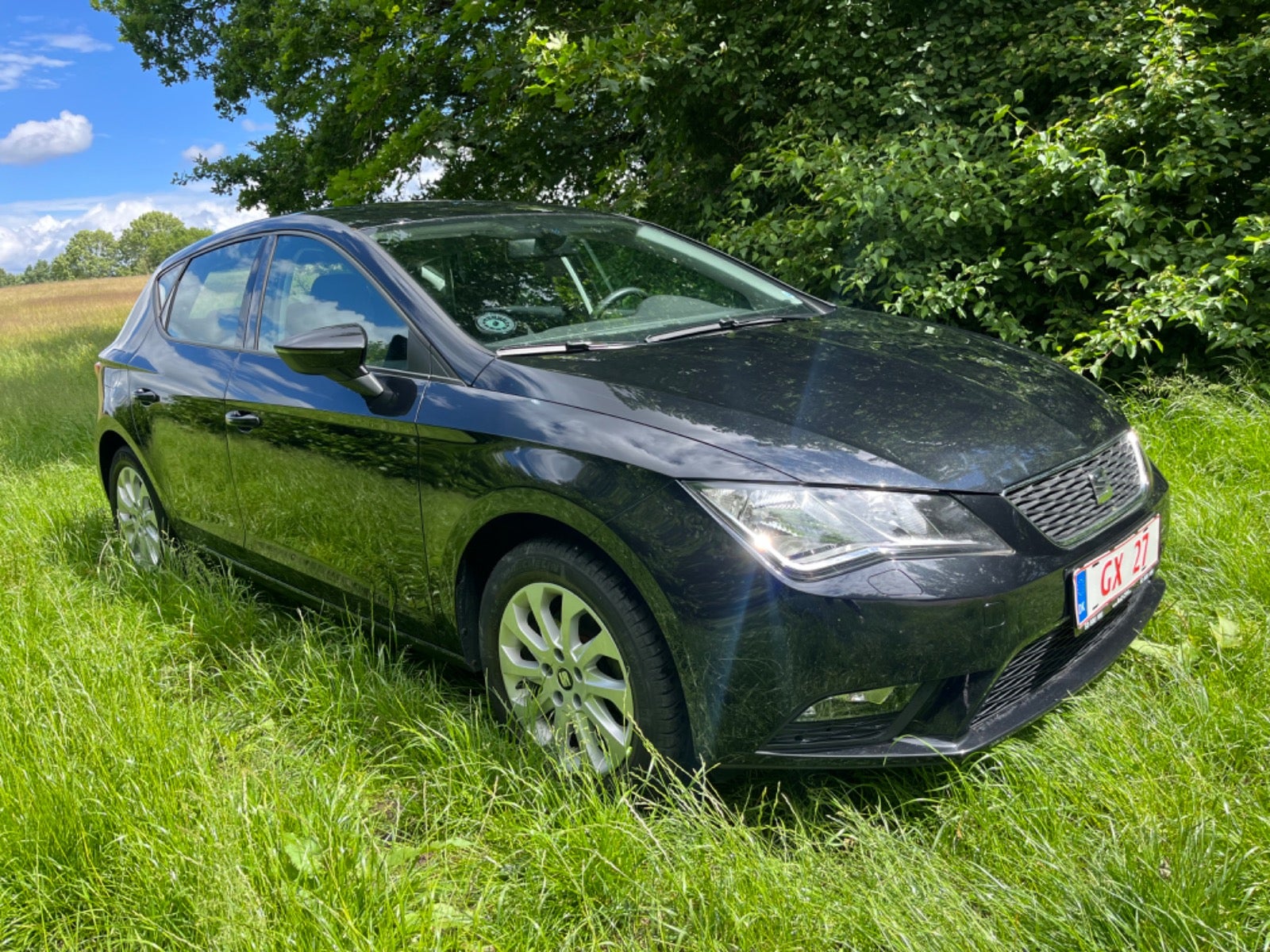 Seat Leon 2013