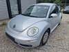 VW New Beetle Trendline