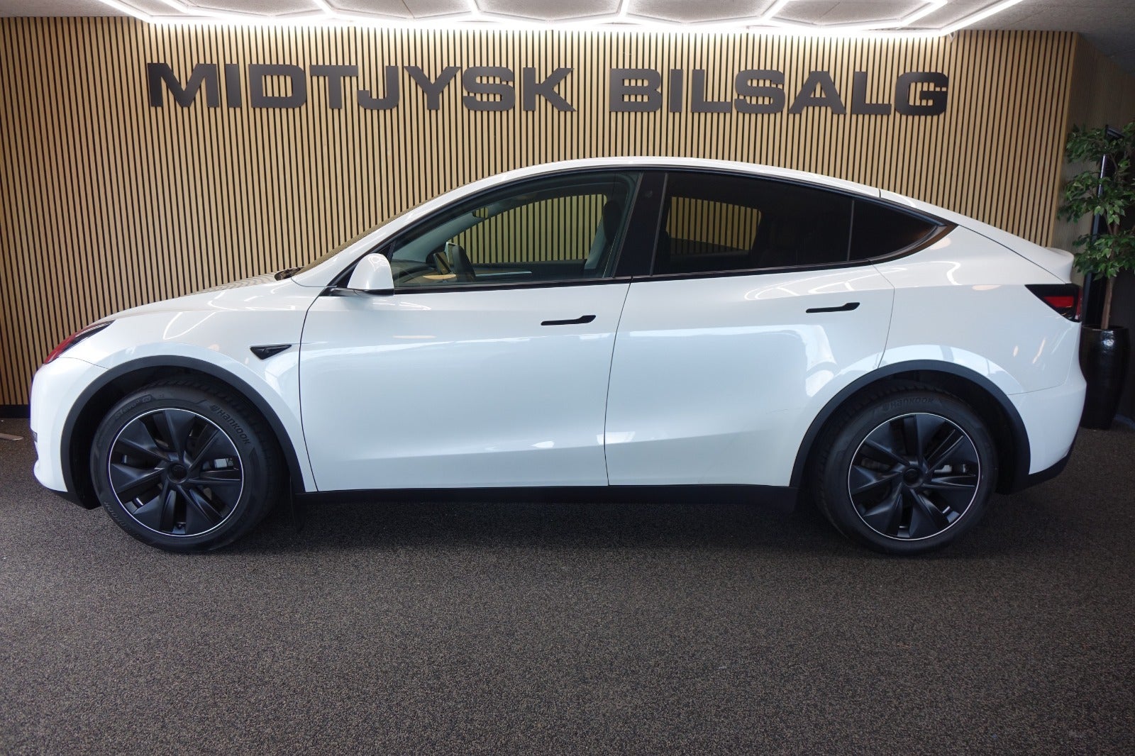 Tesla Model Y, Billede 3
