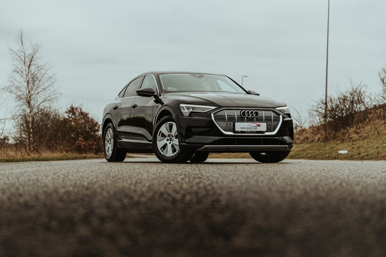 Billede af Audi e-tron 50 Advanced Prestige Sportback quattro