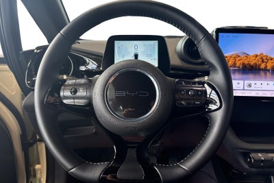 BYD Dolphin Comfort
