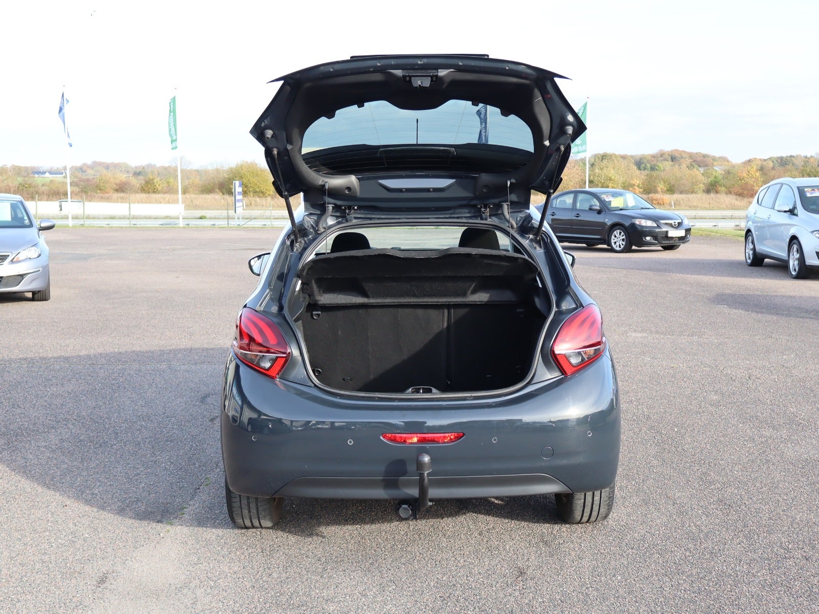 Billede af Peugeot 208 1,6 BlueHDi 100 Allure