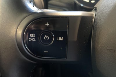 MINI Cooper SE Classic Trim