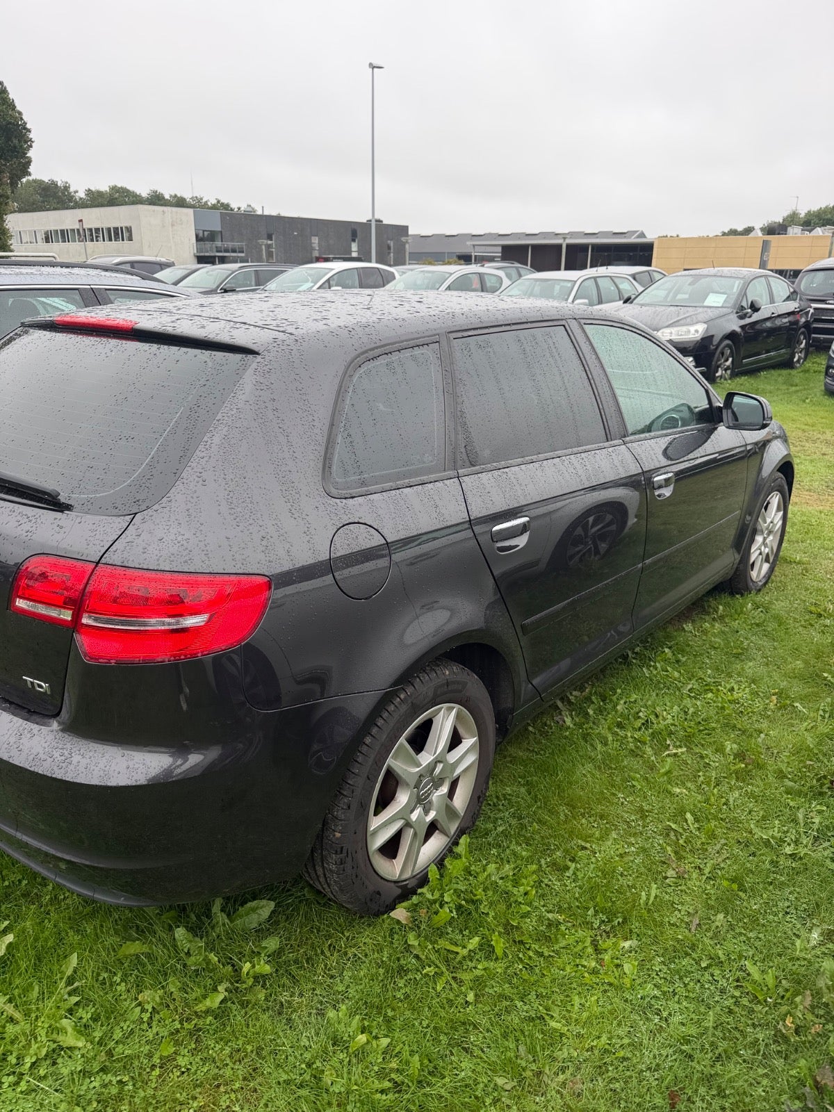 Audi A3 TDi Ambiente Sportback - billede 4