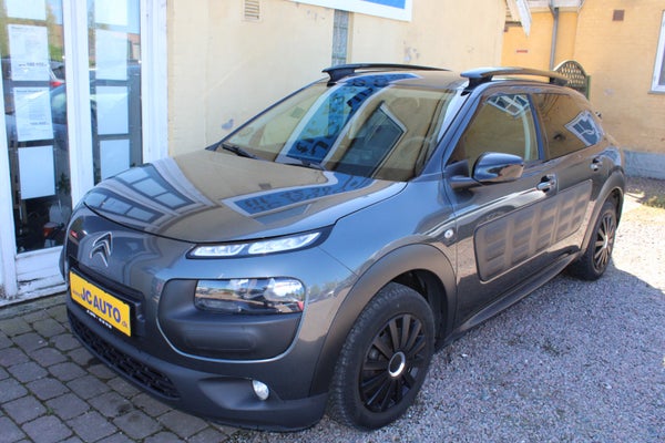 Citroën C4 Cactus BlueHDi 100 Feel Complet Van