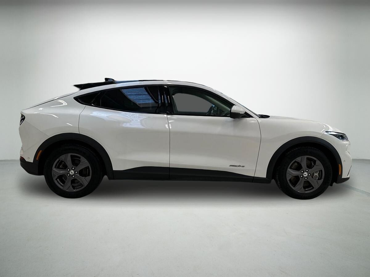Ford Mustang Mach-E Standard Range billede 5