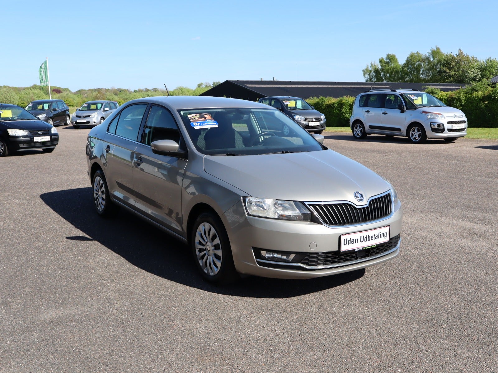 Billede af Skoda Rapid 1,0 TSi 110 Style Spaceback