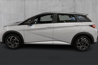 BYD Dolphin Design - 1