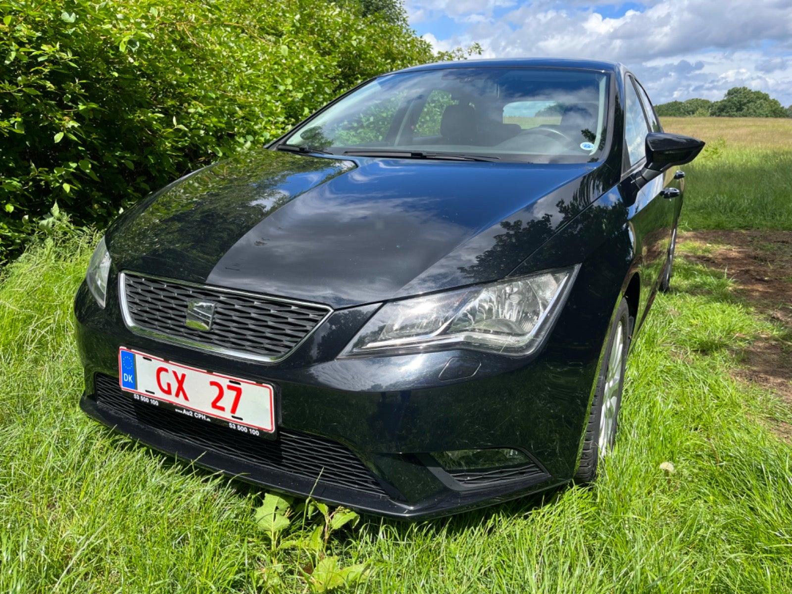 Seat Leon 2013