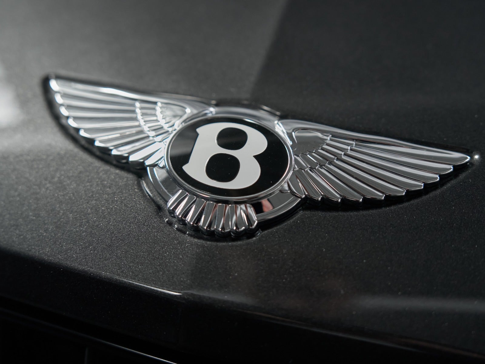 Gallery image 14 of 24