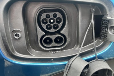 BYD Dolphin Design